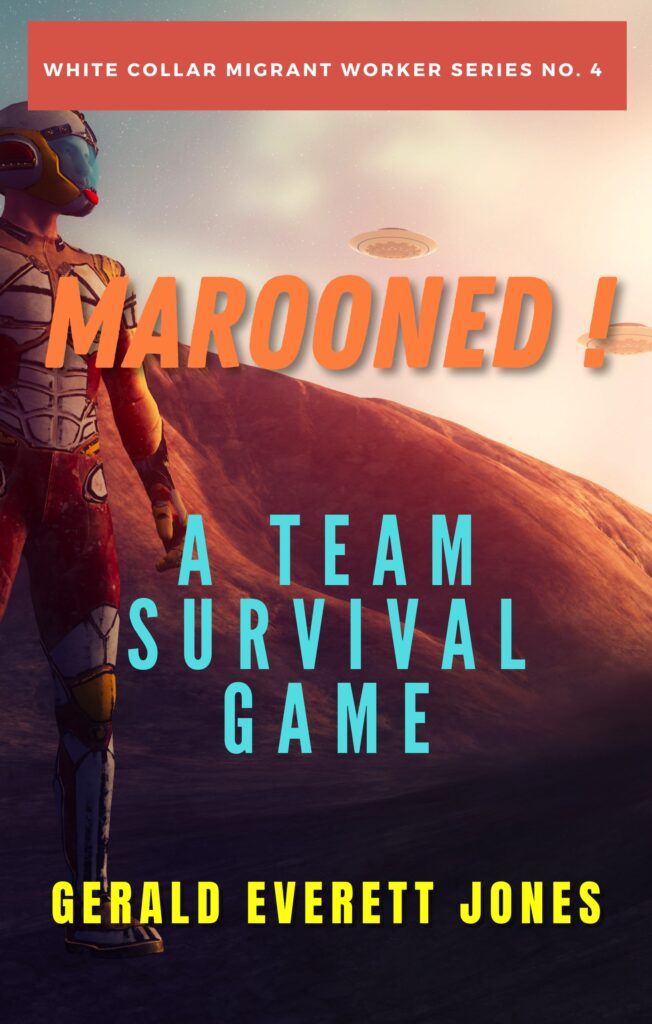 Marooned! A Team Survival Game book cover